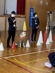 盲導犬キャラバン教室