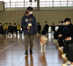 盲導犬キャラバン教室